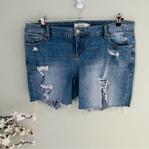Torrid Light Wash Distressed Bermuda Short Size 18T